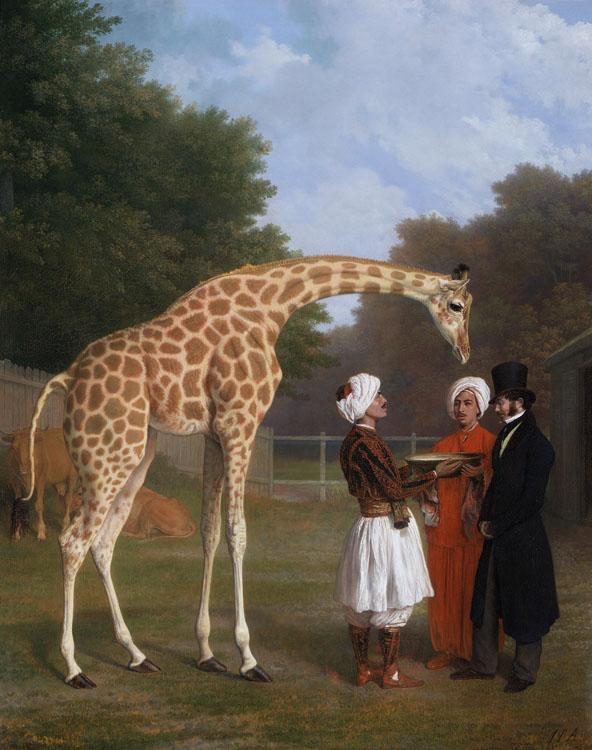 Jacques-Laurent Agasse The Nuian Giraffe (mk25) oil painting image